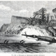 Illustration for article titled Strange 19th Century Drawings of Dinosaurs and Other Extinct Animals
